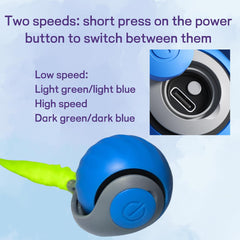 Interactive mode activates automatically as the cat approaches for hands-free play.