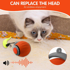 Interactive cat ball charging USB port highlights easy recharge for longer play sessions.