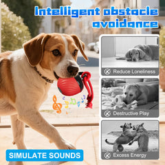 Interactive Dog Toys Ball closeup ropes emphasizes durable design for chewers