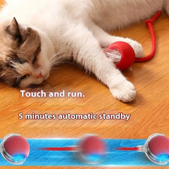 Cat Toy Ball with Tail Rope self-rolling action drives chase behavior.