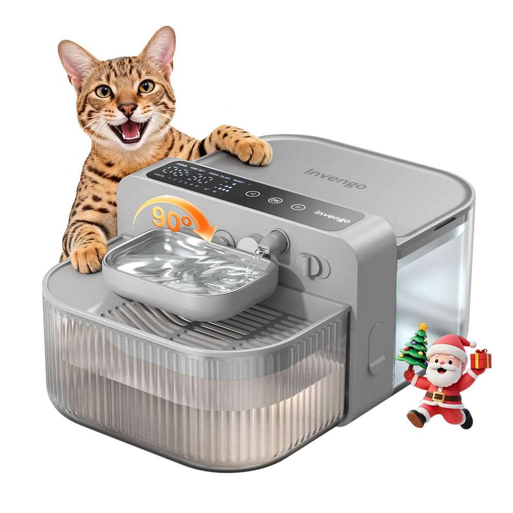 Invengo No-Filter Wireless Cat Water Fountain assembly and setup ready for use