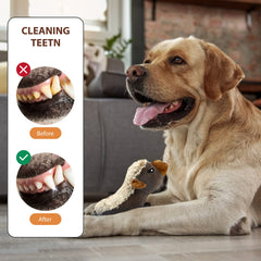 IOKHEIRA dog plush toy reveals crinkle inside for extra sensory appeal.