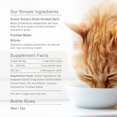 ION* Gut Support for Pets cat/dog usage image emphasizes routine care and gut support