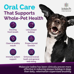 ioVet Oral breath freshening technology highlighted by two US patents.