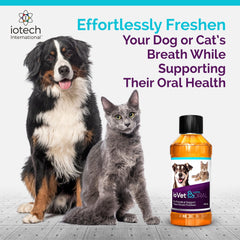 ioVet Oral water bowl setup enables easy daily dosing for pets.