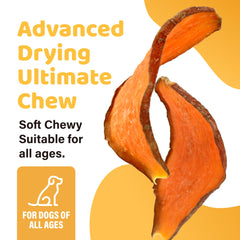 ipaw sweet potato chews texture close-up showing firm chewy bite
