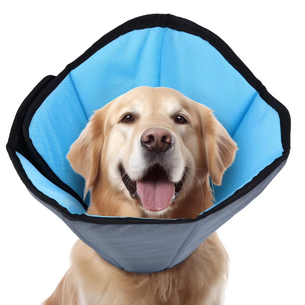 ipetstation dog cone extra-long protects wounds while keeping the dog comfortable during play