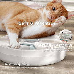 iPettie Brioche locking design prevents pets from tampering with settings.