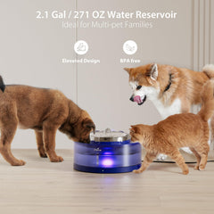 iPettie Cake dog water fountain disassembly simplifies cleaning