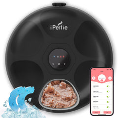 iPettie Donut Frost feeder top view highlighting six portioned compartments for controlled feeding