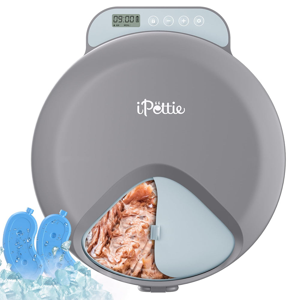 iPettie Zharko four meals feeder with locking lid for scheduled feeding