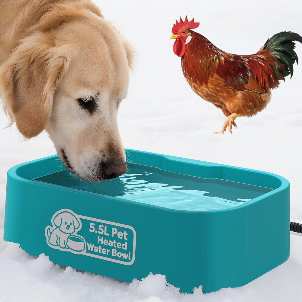 IPOW pet heated water bowl 5.5L filled for all day hydration in cold weather