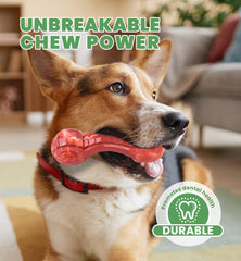 IPTPAS durable chew toy textured surface aids dental cleaning and fresh breath.