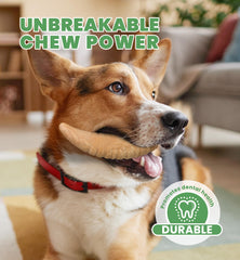 IPTPAS Ultra-Tough Dental Toy texture cleans teeth and gums during play.