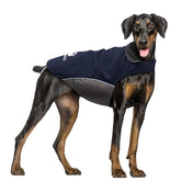 IREENUO dog raincoat waterproof exterior keeps the dog dry during rain