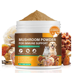 IRSRDOQU mushroom powder bacon flavor pour supports immune health