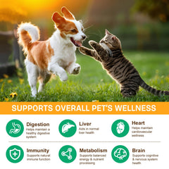 IRSRDOQU vet-formulated mushrooms bottle shows premium blend