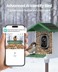 isYoung AI identification 16,000+ species highlights birds in real time.