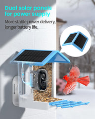 isyoung smart bird feeder ai-bird-identification enables species tagging and learning moments