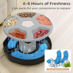 ITSCUTE programmable timer panel enables scheduled meals for busy households.