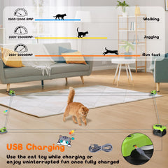 ITSHINY quiet motor cat treadmill runs softly for calm play.