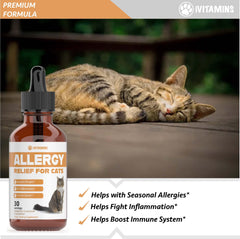 iVitamins Allergy Relief for Cats chicken-flavor tincture shown, appealing taste that cats may enjoy