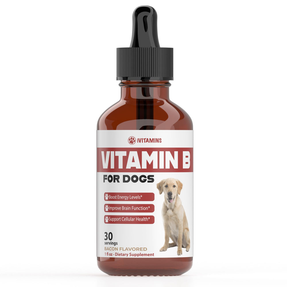 iVitamins Vitamin B for Dogs bacon-flavor bottle highlights tasty, easy-to-administer energy support