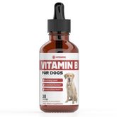 iVitamins Vitamin B for Dogs bacon-flavor bottle highlights tasty, easy-to-administer energy support