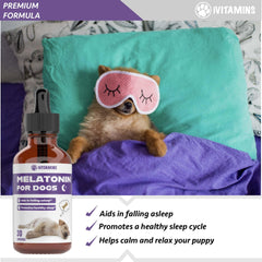 iVitamins Melatonin for Dogs promotes a calm nightly routine.