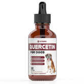 iVitamins Quercetin for Dogs bottle – natural drop formula for allergy relief and immune support