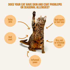 real tuna ingredient highlight in ivvi Skin & Coat for Cats