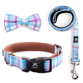 IVY&LANE 3Pcs dog bowtie collar set in checkered blue showing adjustable, comfortable fit.