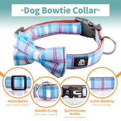 IVY&LANE adjustable collar showing neck girth range for dogs of various sizes.