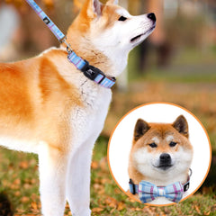 IVY&LANE 5ft leash with matching plaid collar for everyday outdoor walks.