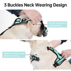 IVY&LANE Harness reflective strip detail improves visibility during nighttime walks.