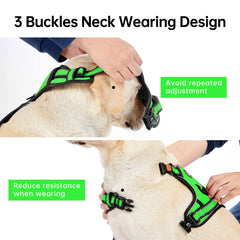 IVY&LANE leash green front-clip for controlled walks and tag attachment