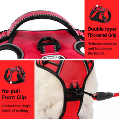 IVY&LANE No Pull Harness reflective strip boosts night visibility.
