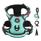 IVY&LANE No Pull Harness turquoise front-clip for safer, controlled walks