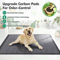 iweepet 36x36-xxl-setup-useful for puppies and seniors