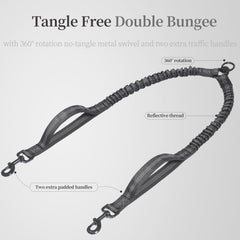 iYoShop leash with reflective thread improves visibility during dusk walks.