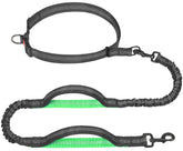 iyopets hands free leash in running setup enhances freedom on daily walks