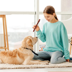 JackPup 8-pack display; bulk collagen chews for families.