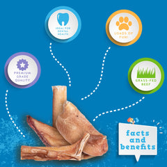 Jack&Pup Bully Bites 1-3 inch chews, perfect bite-sized rewards for pups.