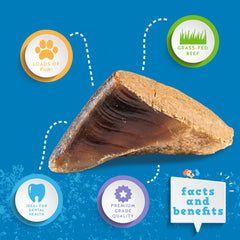 Jack&Pup filled cow hooves in action delivering a long lasting chew for teething and bored dogs.