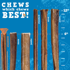 Jack&Pup odor-free bully stick close-up highlighting savory flavor for dogs