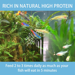 JADINGSFARM Daphnia fresh-opened-pack shows sealed freshness and easy storage.