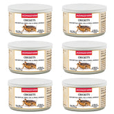JADINGSFARM 6pack crickets for pets—the ideal protein-rich feeding option for reptiles and birds.