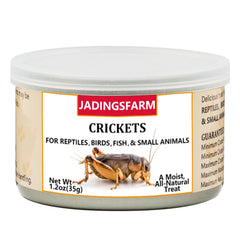 JADINGSFARM crickets in can—moist, ready-to-serve nutrition for lively fish and small animals.