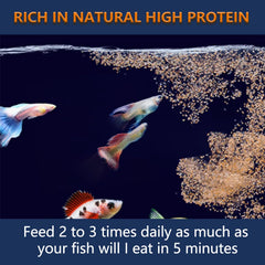JADINGSFARM fish feeding in aquarium illustrating convenient use.