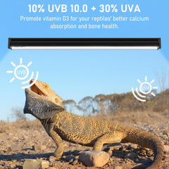 Jaenmsa T5 10.0 UVB spectrum highlights visible light and infrared warmth.